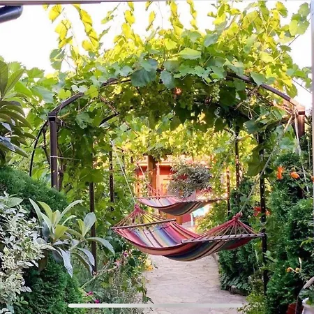 рая Фазаново