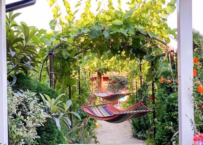 Kyshta Za Gosti Raya Fazanovo